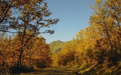 Sierra del Rincón