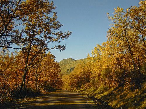 Sierra del Rincon