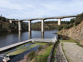 Tajo Tejo Internacional