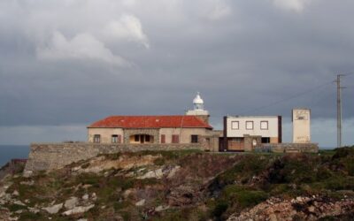 Faru de Vidiu