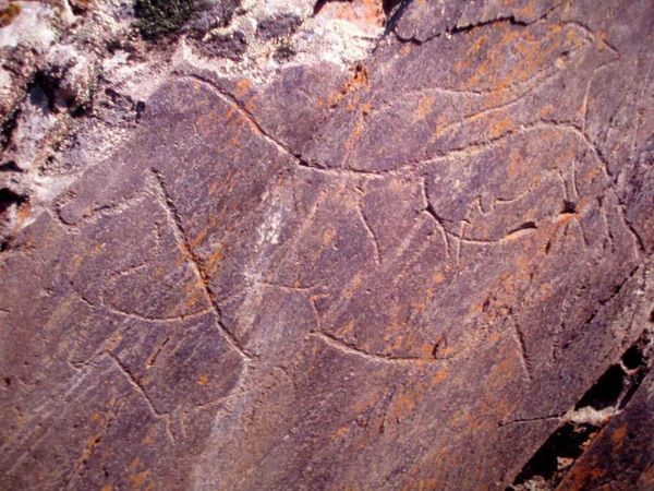 Arte rupestre del Valle del Cea y de Siega Verde