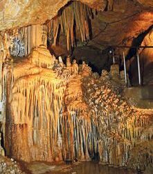 Coves de Gènova