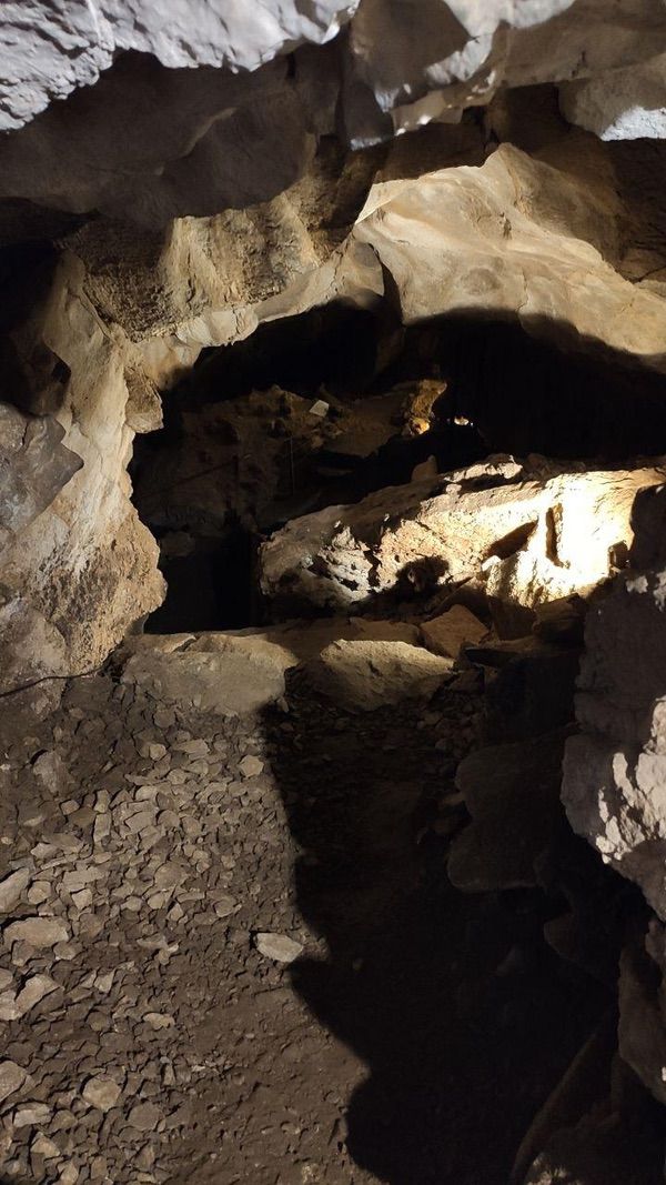 Cueva de Llamazares