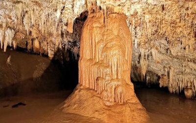 Cueva de Pozalagua