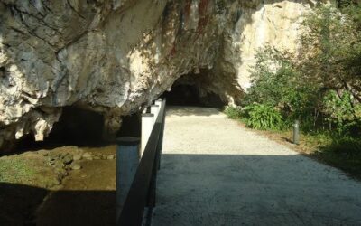 Cueva de Tito Bustillo