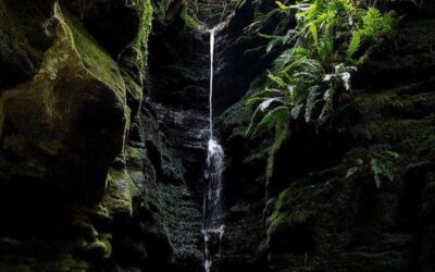 Cueva de Traúno