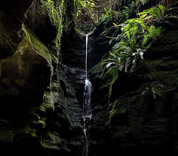 Cueva de Trauno