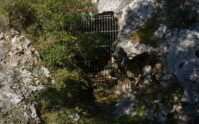 Cueva de la Pasiega