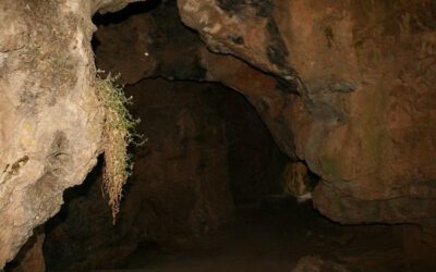 Cueva de la Rata