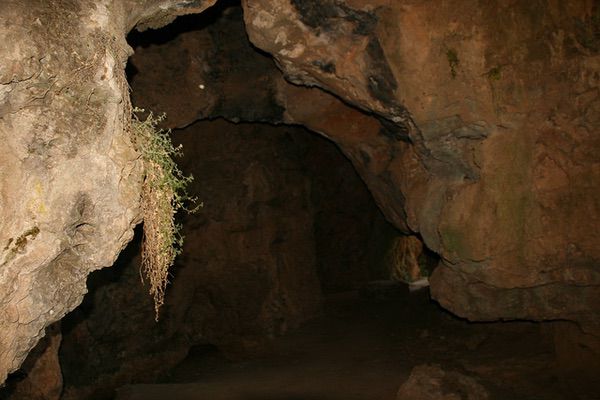 Cueva de la Rata