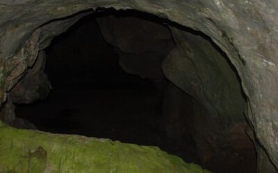 Cueva de las Mestas