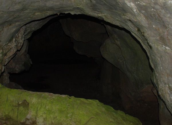 Cueva de las Mestas