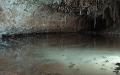 Cueva de los Canes