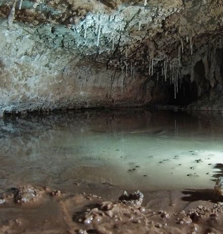 Cueva de los Canes