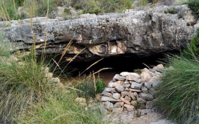 Cueva de los Cochinos