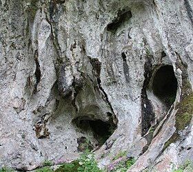 Cueva del Forno