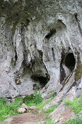 Cueva del Forno