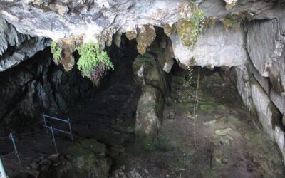 Cueva del Pindal