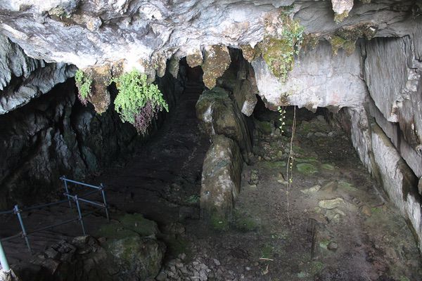 Cueva del Pindal