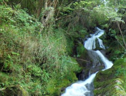 Cueva del Porquerizo