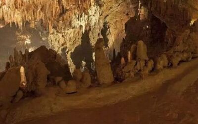 Cueva del Rei Cintolo