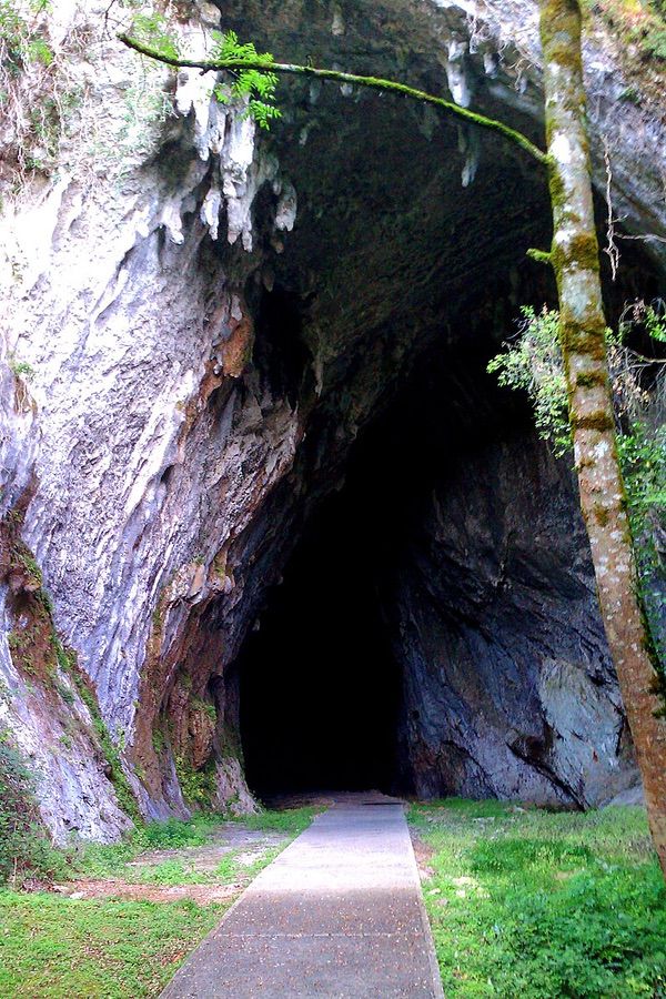 Cueva del Rey