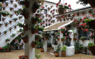 Festival de los Patios Cordobeses