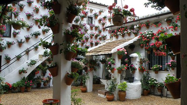 Festival de los Patios Cordobeses