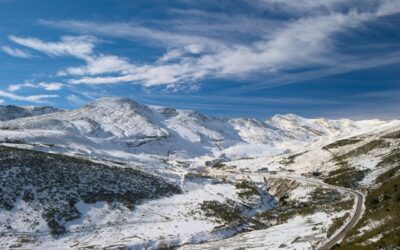 Alto Campoo