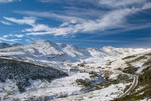 alto campoo