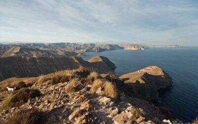 Cala de la Polacra