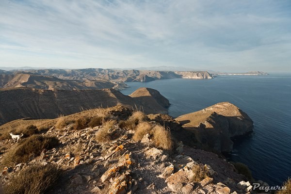 cala de la polacra