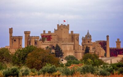 Castillo de Olite Navarra