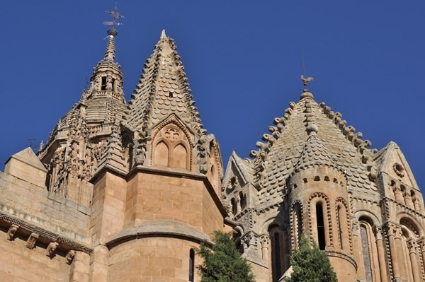 catedral vieja de salamanca