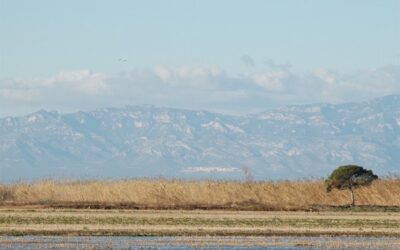 Delta del Ebro Tarragona