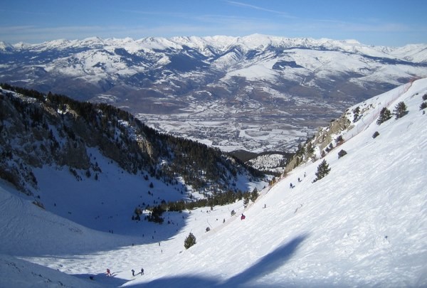 masella