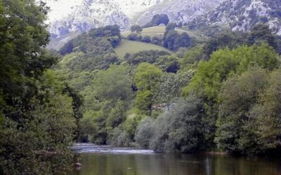 Nacimiento del Río Asón Cantabria