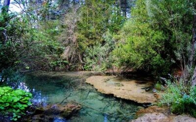 Nacimiento del Río Cuervo Cuenca