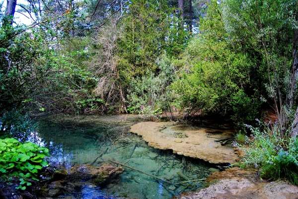 nacimiento del rio cuervo