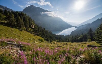 Parc Nacional d´Aigüestortes i Estany de Sant Maurici Lleida