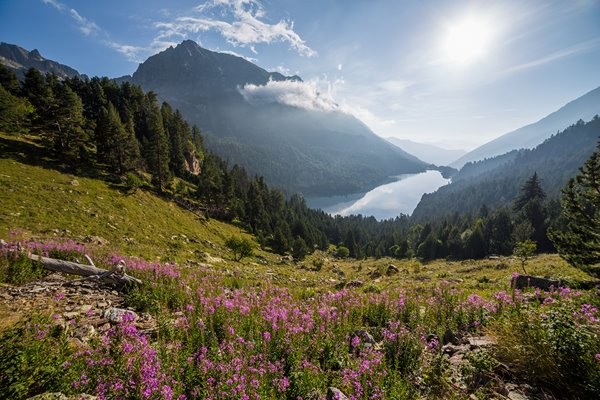 parque nacional de aiguas tortas y lago de san mauricio lleida