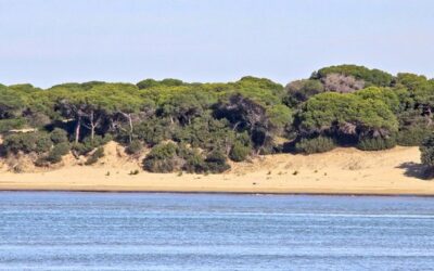 Parque Nacional de Doñana Huelva