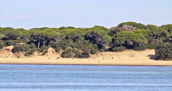 parque nacional de donana