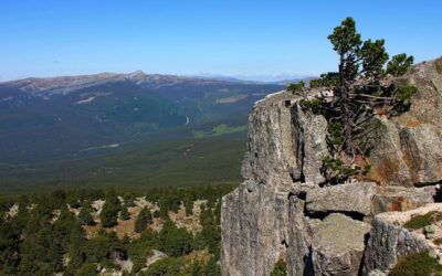 Parque Natural de la Sierra de Cebollera La Rioja