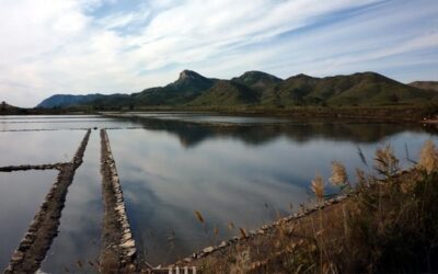 Parque Regional de Calblanque, Monte de las Cenizas y Peña del Águila Murcia