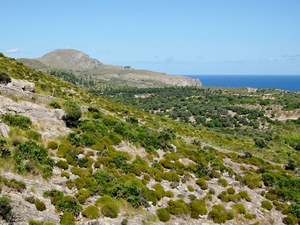 peninsula de llevant